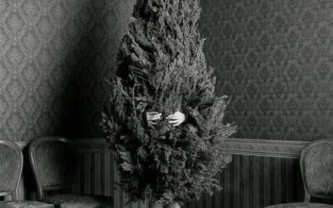 Fröhliche Weihnachten & guten Rutsch!